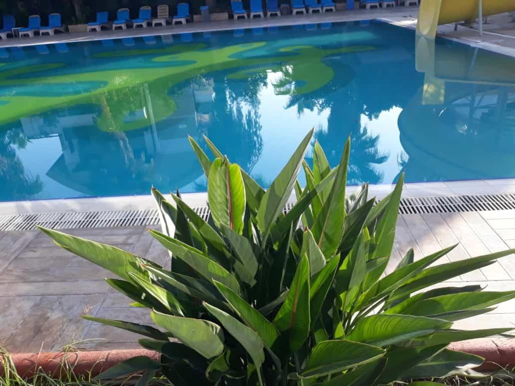 Club Jovia Kemer Hotel Antalya Eksteriør billede