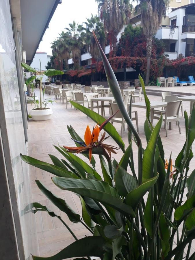 Club Jovia Kemer Hotel Antalya Eksteriør billede