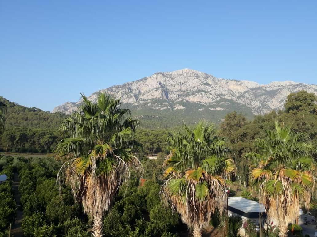 Club Jovia Kemer Hotel Antalya Eksteriør billede
